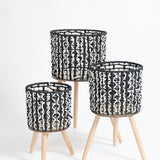Cesta Belga