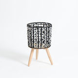 Cesta Belga