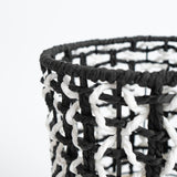 Cesta Belga