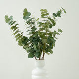 Eucalipto Artificial 88cm
