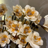 Amapola