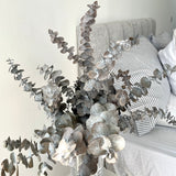 Bouquet Eucalipto